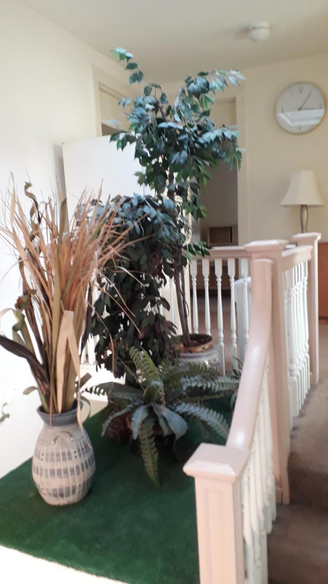 Pleasant Rooming House Вашингтон Екстериор снимка